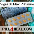 Vigra Xl Max Platinum 44